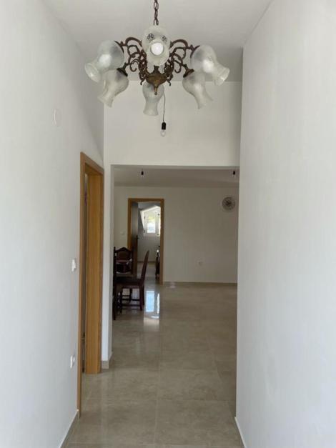 Apartment Venera ブラチェ エクステリア 写真